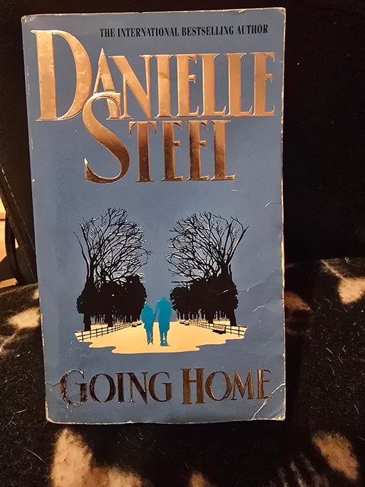 Buy & Sell West Midlands Walsall - Photos for Danielle Steel, Going Home