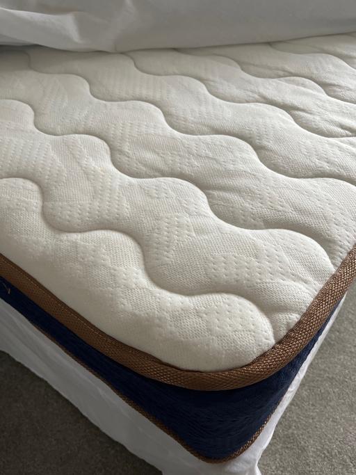 Buy & Sell County Durham Coxhoe - County Durham - Photos for - Single size trundle bed