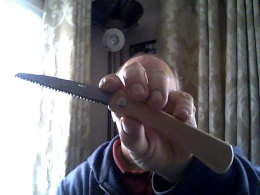 Buy & Sell Somerset Cannington - Somerset - Photos for TREE BRANCH PRUNING SAW POCKET SIZE