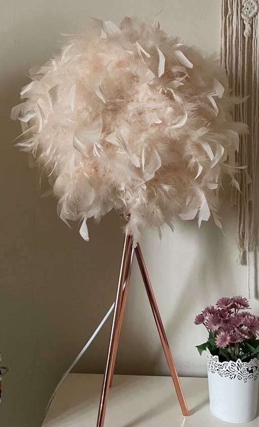 Buy & Sell West Yorkshire Leeds - Photos for Rose Gold Feather Lamp