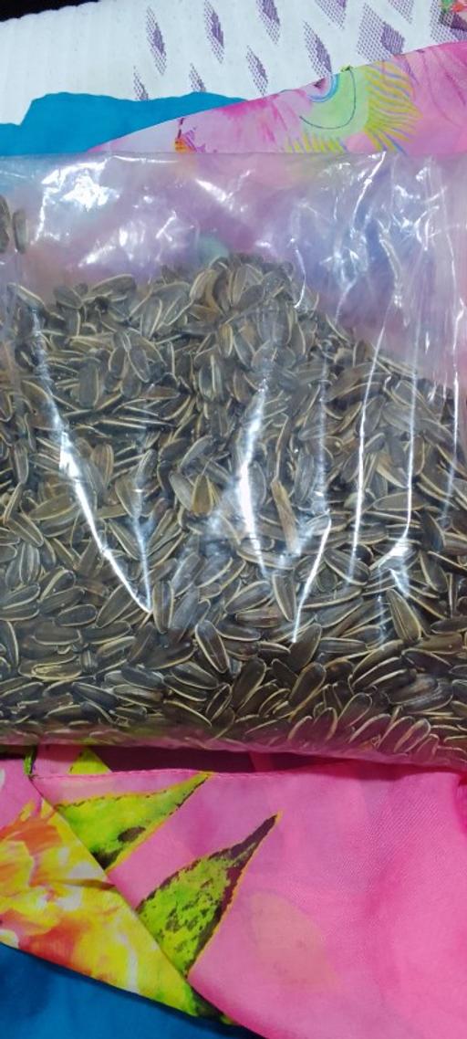 Buy & Sell East London Upton Park - East London - Photos for 1kg sunflower seeds for bird