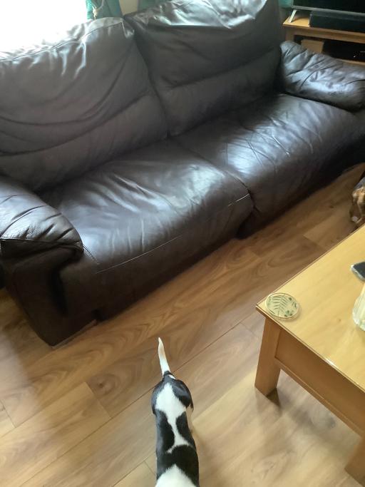 Buy & Sell Worcestershire Worcester - Photos for Sofa free to go home leather