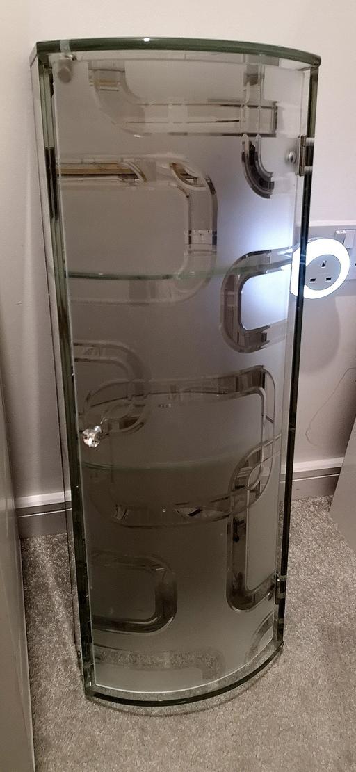 Buy & Sell Greater Manchester Wigan - Photos for unusual etched frosted glass wall cabinet