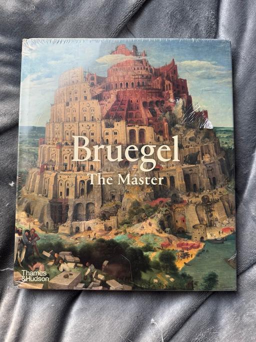 Buy & Sell South East London Walworth - South East London - Photos for Bruegel: the master by Ron spronk book