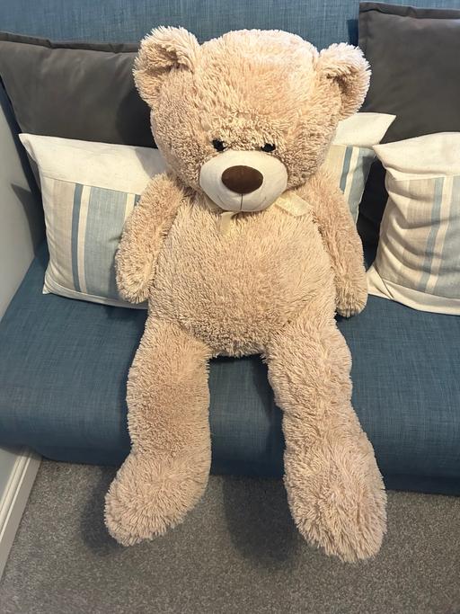 Buy & Sell Gloucestershire Cotswold - Photos for Large soft toy Teddy bear