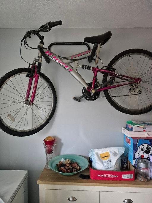 Buy & Sell Nottinghamshire Nottingham - Photos for ladies falcon ibiza bike