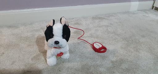 Buy & Sell West Midlands Birmingham - Photos for Toy dog