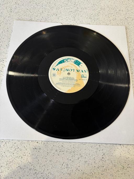 Buy & Sell Wiltshire Swindon - Photos for Was not was walk the dinosaur 12 inch vinyl