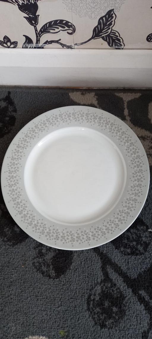 Buy & Sell Devon Plymouth - Photos for 2 next dinner plates