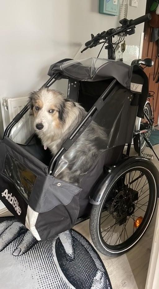 Buy & Sell East London Tower Hamlets - East London - Photos for DOG KIT BIKE trailer - no bicycle included