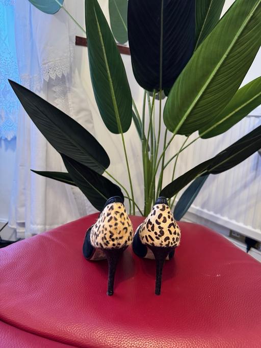 Buy & Sell South East London Croydon - Photos for Next Black & Leopard Print Court Shoes