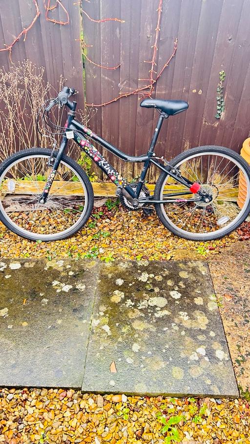 Buy & Sell Lincolnshire South Kesteven - Photos for 19 in girls bike