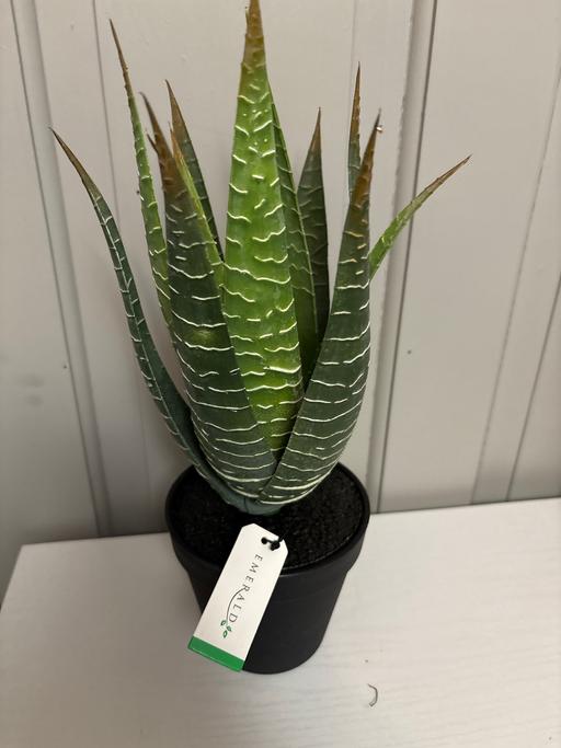 Buy & Sell Derbyshire Chesterfield - Photos for Emerald aloe Vera artificial plant