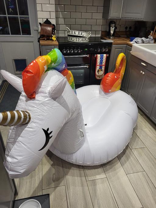 Buy & Sell Suffolk East Suffolk - Photos for large new children's unicorn inflatable