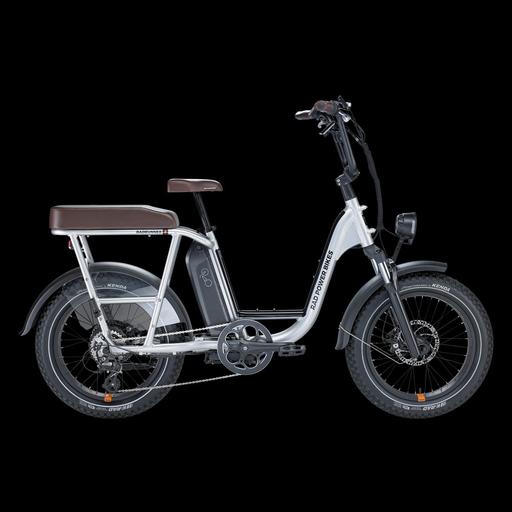 Buy & Sell South East London Kidbrooke - South East London - Photos for Radrunner Plus Electric Cargo Bike