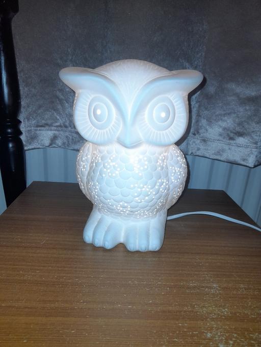 Buy & Sell Norfolk King's Lynn and West Norfolk - Photos for ceramic owl lamp - size on photo