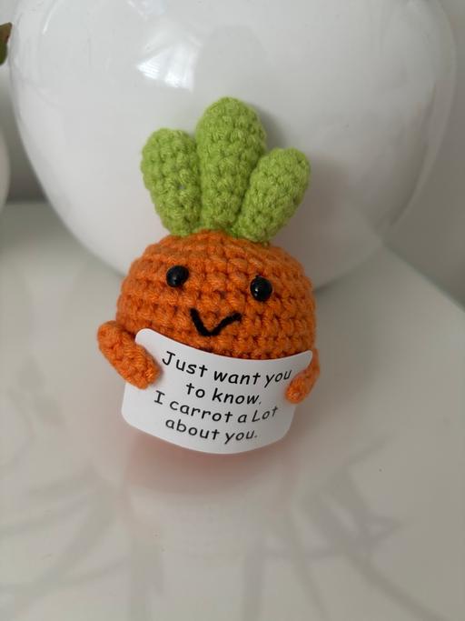 Buy & Sell Gloucestershire South Gloucestershire - Photos for I care a lot about you knitted crochet carrot