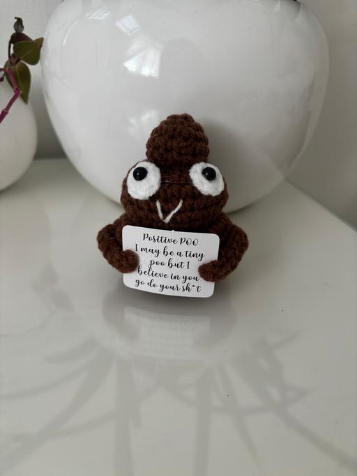 Buy & Sell Gloucestershire South Gloucestershire - Photos for Motivational poo you got this knitted crochet