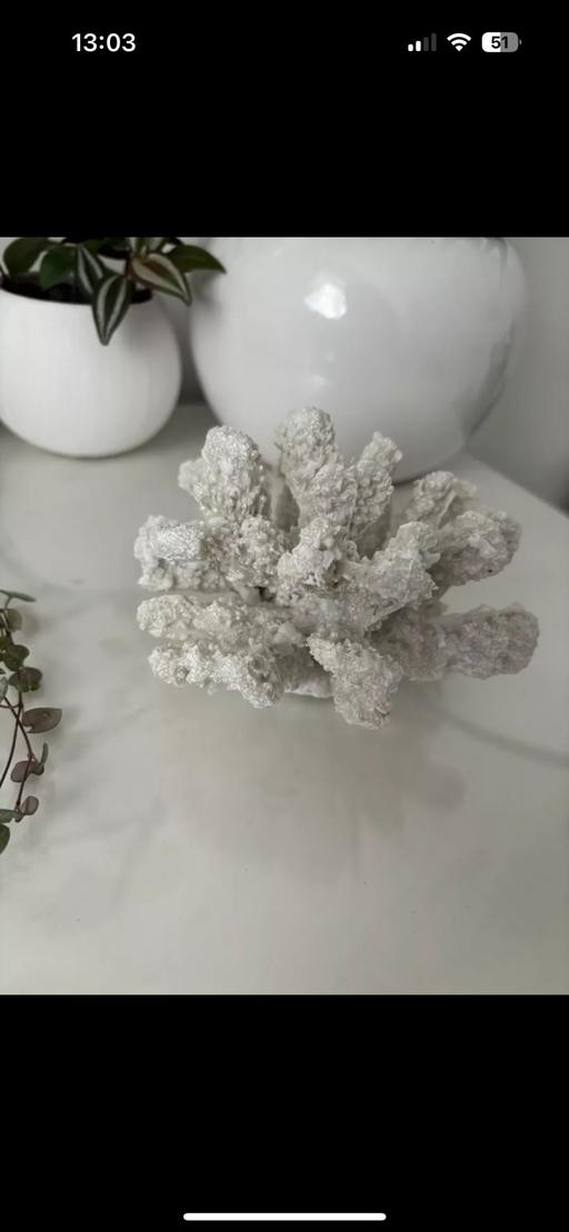 Buy & Sell Gloucestershire South Gloucestershire - Photos for Resin coral ornament white