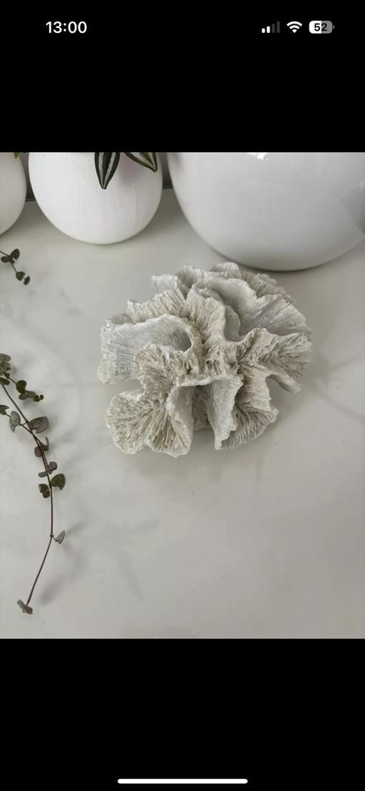 Buy & Sell Gloucestershire South Gloucestershire - Photos for Resin coral ornament white off white