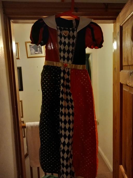 Buy & Sell Leicestershire Charnwood - Photos for Alice in Wonderland costume aged 9 to 10 year