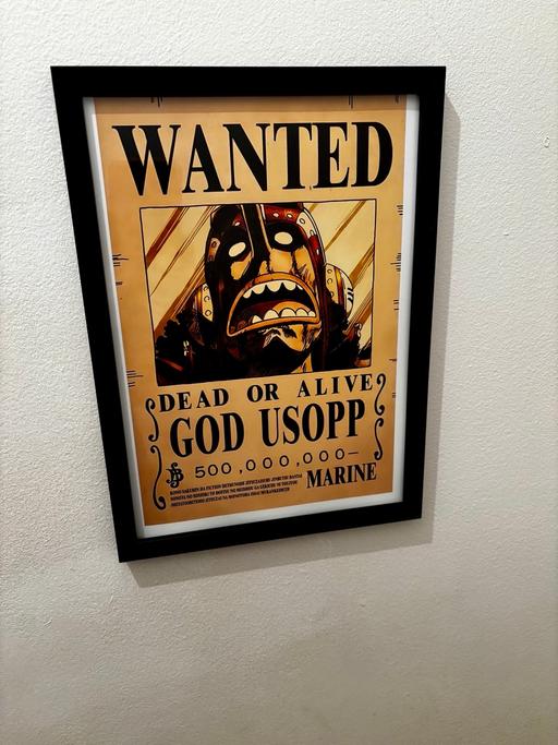 training Cardiff Thornhill - Cardiff - Photos for One piece wanted bounty poster