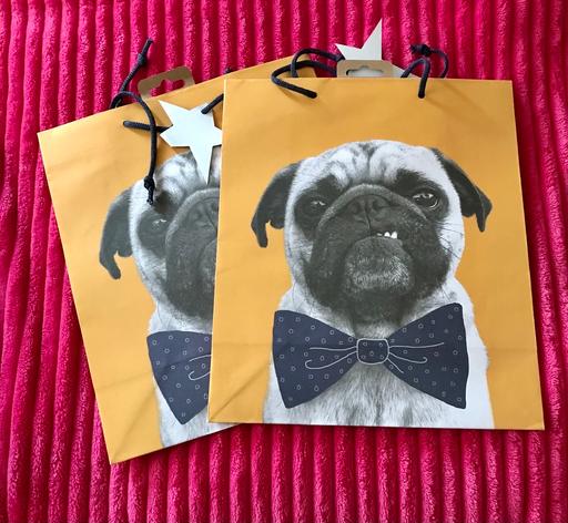 Buy & Sell Newport - Wales Newport - NP19 - Photos for NEW GIFT BAGS x 2.