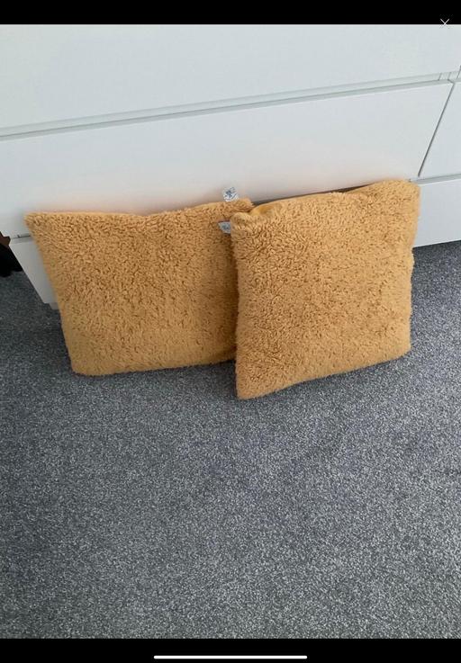 Buy & Sell North Northamptonshire Telford Way Industrial Estate - North Northamptonshire - Photos for Dunelm genuine teddy fabric cushions