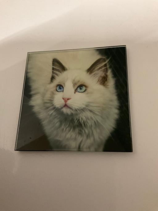 Buy & Sell West Midlands Sandwell - Photos for Glass coaster