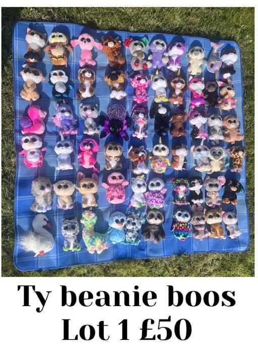 Buy & Sell Essex Braintree - Photos for TY beanie boos