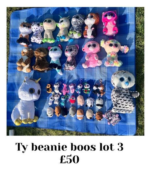 Buy & Sell Essex Braintree - Photos for TY beanie boos