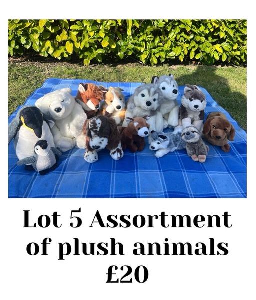 Buy & Sell Essex Braintree - Photos for Assortment of plush animals