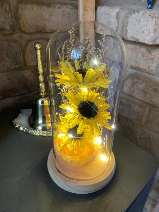 Buy & Sell West Midlands Sandwell - Photos for Glass dome flower light buyer collect
