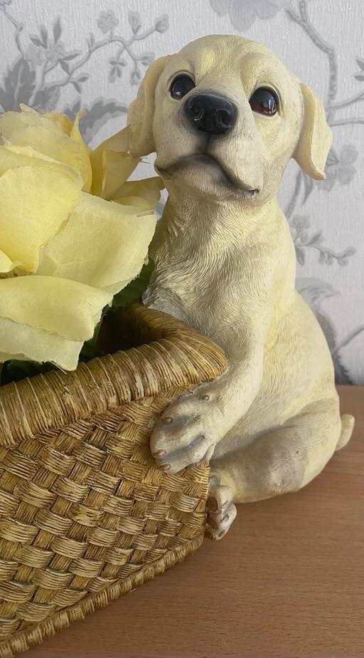 Buy & Sell West Midlands Birmingham - Photos for Labrador ornament