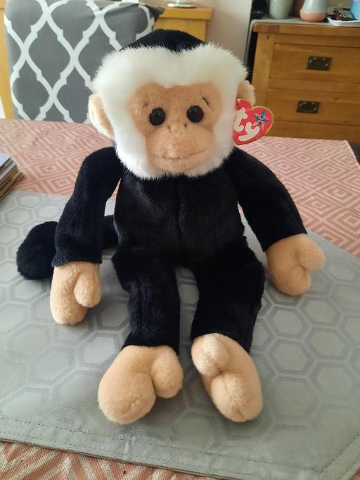 Buy & Sell West Midlands Wolverhampton - Photos for TY Monkey 