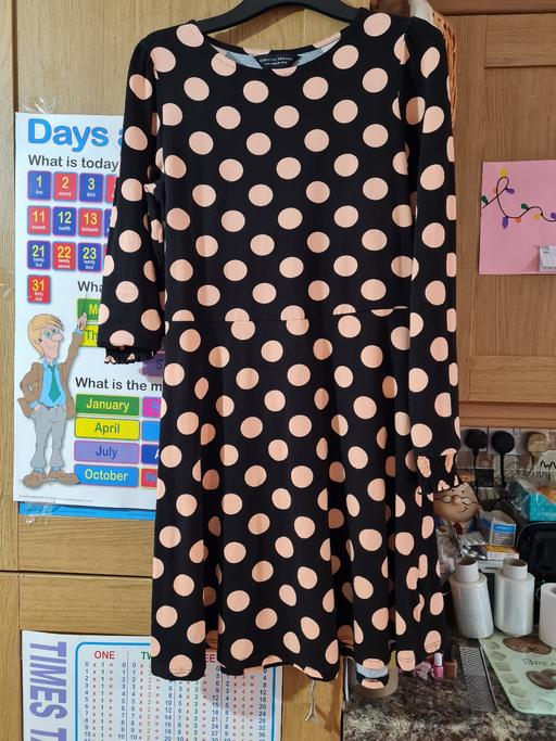 Buy & Sell Chelmsley Wood Solihull - Photos for ladies Dorothy Perkins dress