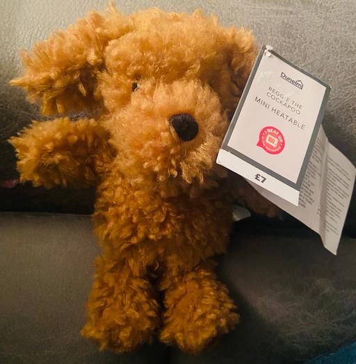 Buy & Sell West Midlands Birmingham - Photos for Reggie the cockapoo mini heatable