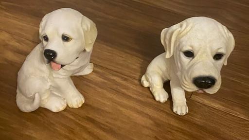 Buy & Sell West Midlands Birmingham - Photos for Dog ornaments