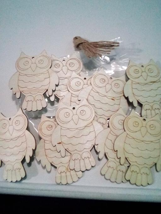 Classes Lincolnshire East Lindsey - Photos for new pack of 10 kids craft owls