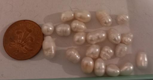 Buy & Sell Thatto Heath Saint Helens - Photos for large freshwater banded pearls