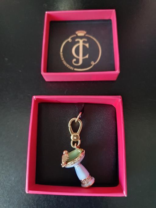Buy & Sell Upper Gornal Dudley - Photos for juicy couture bird bath charm