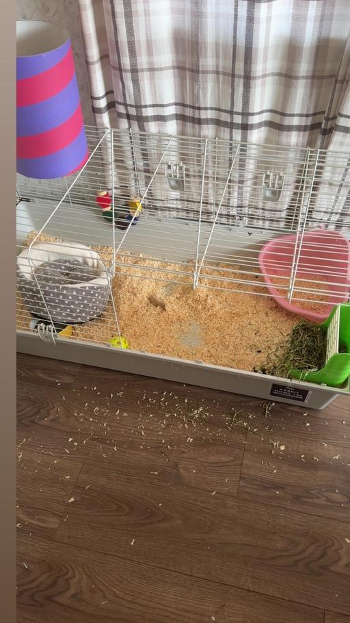 Buy & Sell Pensnett Dudley - Photos for Rabbit accessories