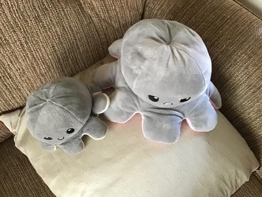 Buy & Sell West Midlands Wolverhampton - Photos for Two octopuses