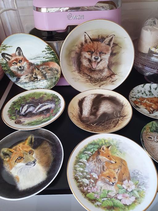 Buy & Sell West Midlands Dudley - Photos for decorative/ornamental wildlife plates&springs