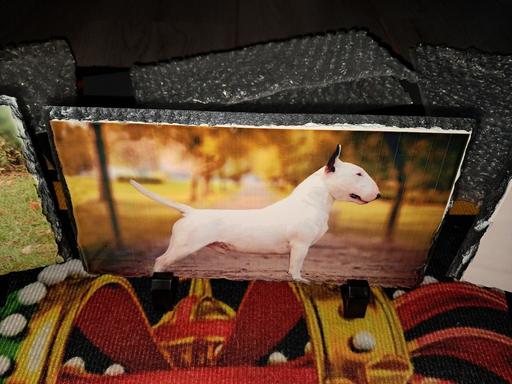 Buy & Sell West Midlands Sandwell - Photos for Photo rock slate