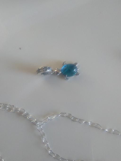Buy & Sell Kent Sevenoaks - Photos for pandora blue turtle