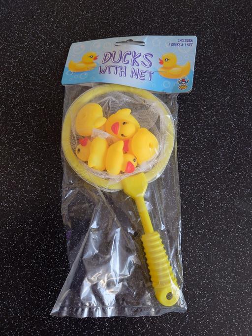 Buy & Sell Woodthorpe Charnwood - Photos for Ducks with net toy