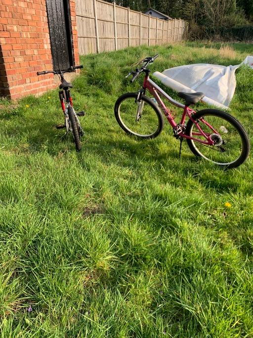 Buy & Sell Shropshire Telford and Wrekin - Photos for Bikes