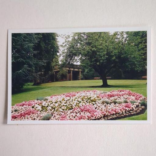 Buy & Sell Bexley Welling - Bexley - Photos for Glossy prints of a beautiful garden scene