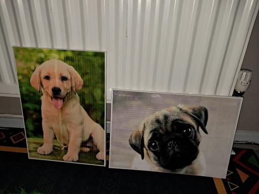 Buy & Sell West Midlands Sandwell - Photos for A3 Canvases